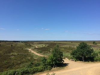 Kongenshus Mindepark