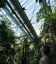 Zoologisk Have - Tropezoo  (nr. 14 på Zookort)