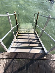 Teglværksskoven - Strand og badebro