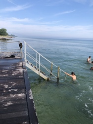 Teglværksskoven - Strand og badebro
