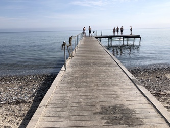 Teglværksskoven - Strand og badebro