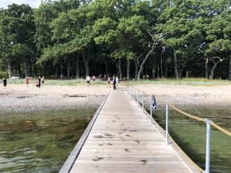 Teglværksskoven - Strand og badebro