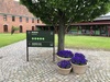 Det Grønne Museum -  Udstilling