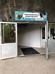 Aalborg Zoologiske Have Søløveanlæg