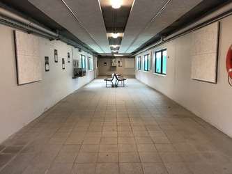 Aalborg Zoologiske Have Søløveanlæg