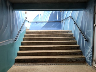 Aalborg Zoologiske Have Søløveanlæg