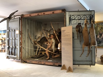 Det Grønne Museum
