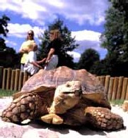 Zoologisk Have - Øer stisystem