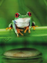 Zoologisk Have - Indendørs anlæg