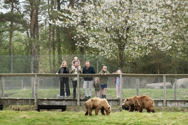 Skandinavisk Dyrepark Djursland