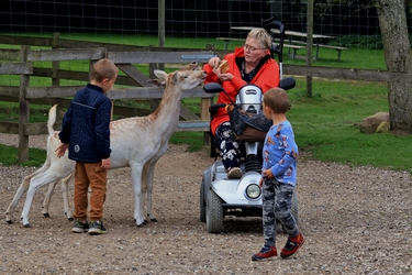 Skandinavisk Dyrepark Djursland