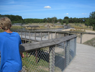 Skandinavisk Dyrepark Djursland
