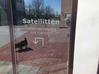 Satellitten