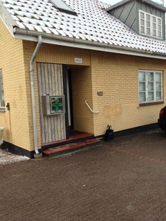 Læge Ines Milling