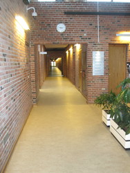 Greve Videncenter