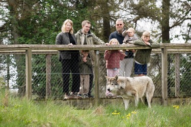 Skandinavisk Dyrepark Djursland - Oplev dyrene