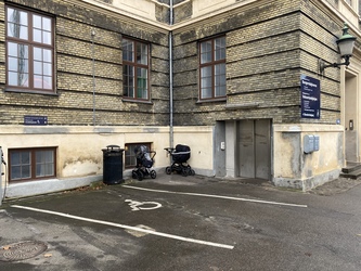 Voksentandplejen