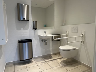 Borre Knob - Handicaptoilet ved receptionen