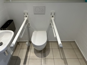 Borre Knob - Handicaptoilet ved receptionen