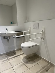 Borre Knob - Handicaptoilet ved receptionen