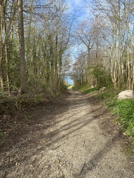 Badebroen ved Kyndeløse Sydmark