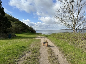 Badebroen ved Kyndeløse Sydmark