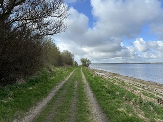 Badebroen ved Kyndeløse Sydmark