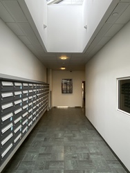 Kirurgisk Urologisk Klinik