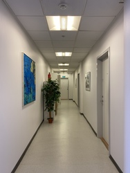 Kirurgisk Urologisk Klinik