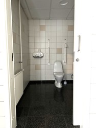 Scandic Kolding - Toilette neben Mjølner und Mimer