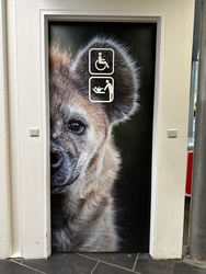 Randers Regnskov - Toilet i forhallen