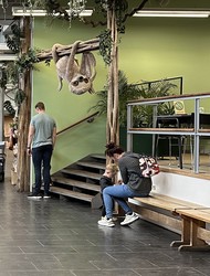 Randers Regnskov - Cafeen