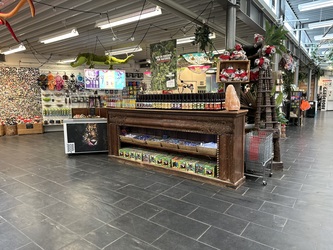 Randers Regnskov -   Indgang og parkering