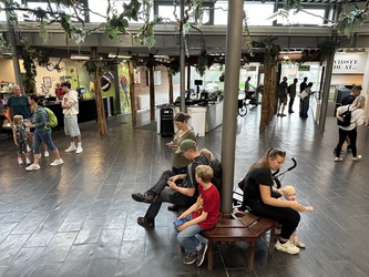 Randers Regnskov -   Indgang og parkering