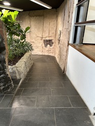 Randers Regnskov - Afrika og Asien