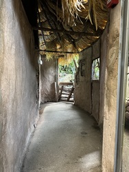 Randers Regnskov - Afrika og Asien