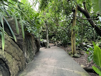 Randers Regnskov - Afrika og Asien