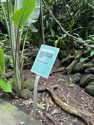 Randers Regnskov - Afrika og Asien