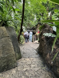 Randers Regnskov - Afrika og Asien