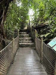 Randers Regnskov - Afrika og Asien