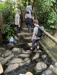 Randers Regnskov - Afrika og Asien
