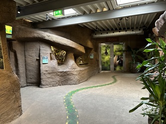 Randers Regnskov - Afrika og Asien