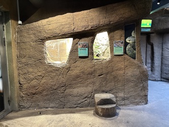 Randers Regnskov - Afrika og Asien