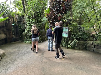 Randers Regnskov - Afrika og Asien