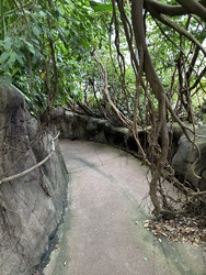 Randers Regnskov - Afrika og Asien