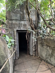 Randers Regnskov - Afrika og Asien