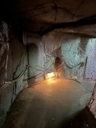 Randers Regnskov - Afrika og Asien