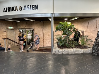 Randers Regnskov - Afrika og Asien