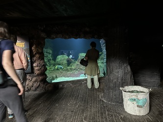 Randers Regnskov - Akvarium og Sydamerika