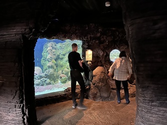 Randers Regnskov - Akvarium og Sydamerika